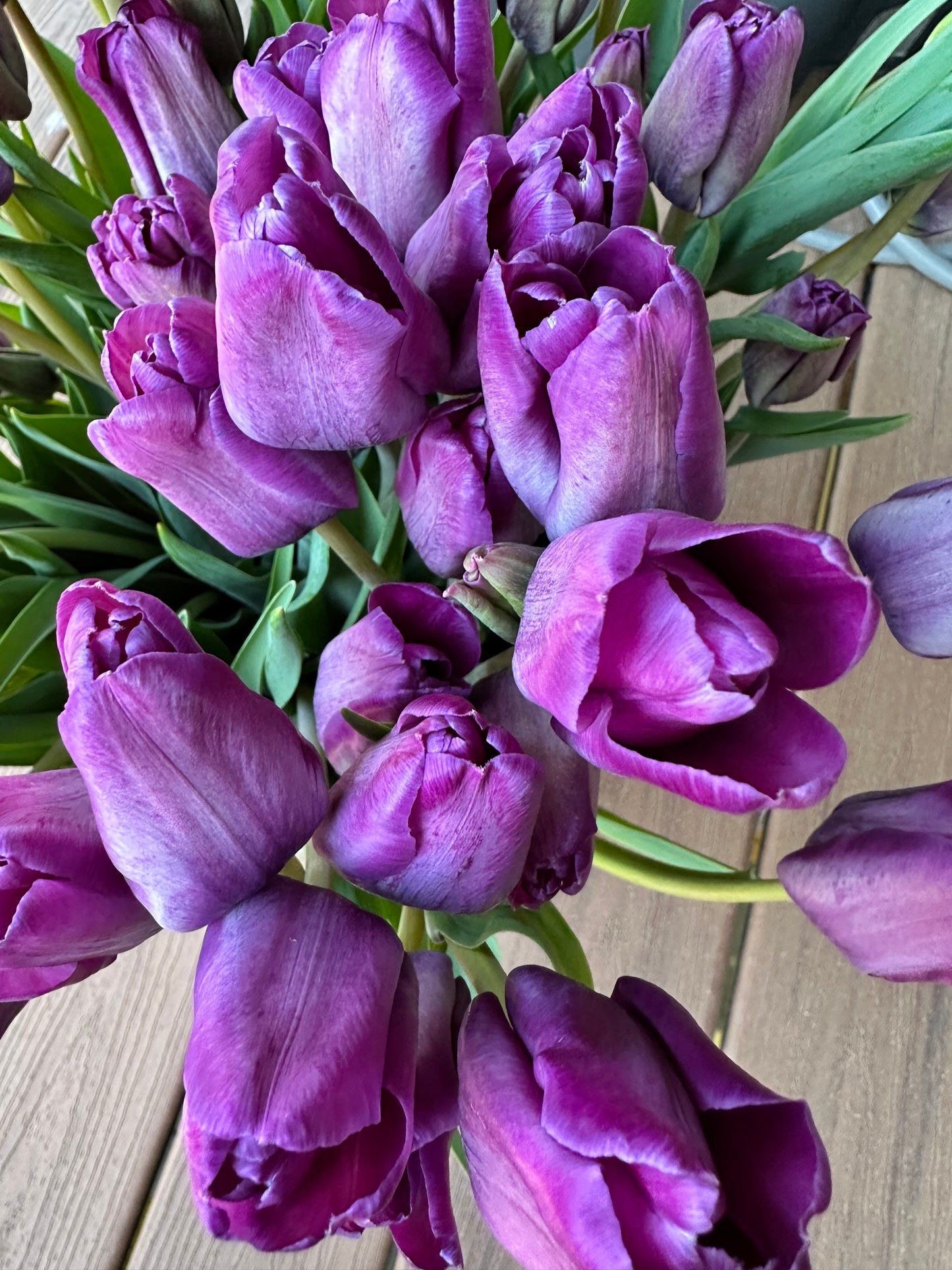 Tulips By The Bunch