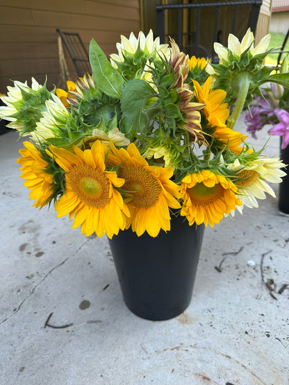 Bulk Bucket of Blooms
