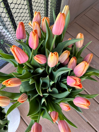 Tulips By The Bunch (Wholesale)