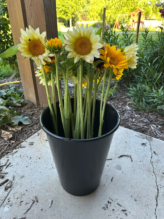 Bulk Bucket of Blooms