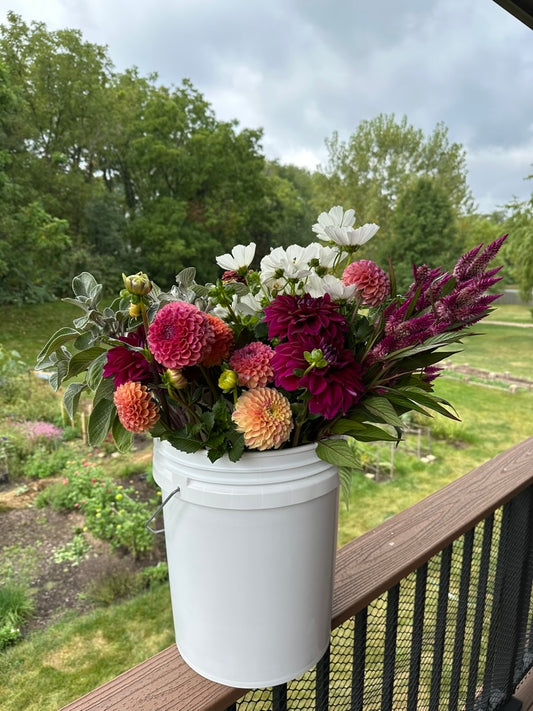 Bulk Bucket of Blooms