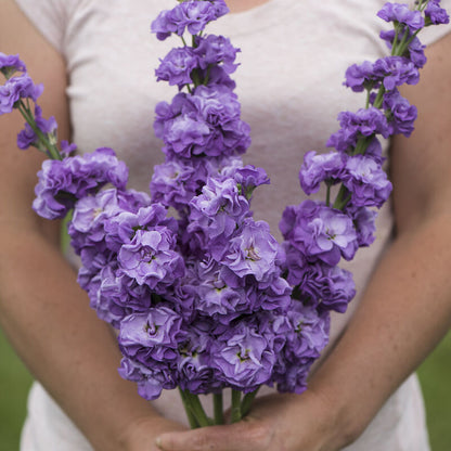 Mother's Day 2027 Pre-order